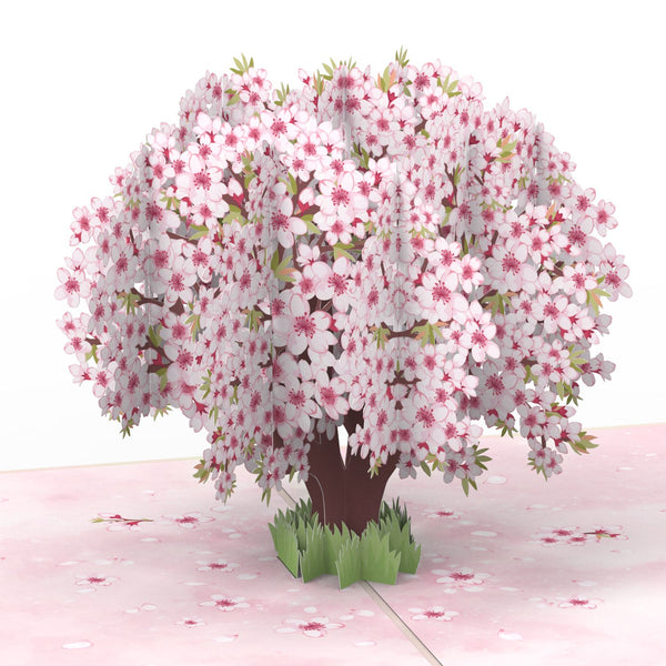 Carte pop-up fleurs de cerisier