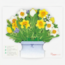 Osterglocken Pop-Up Blumenstrauß