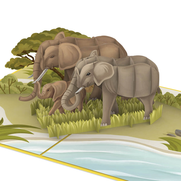 Carte pop-up éléphant