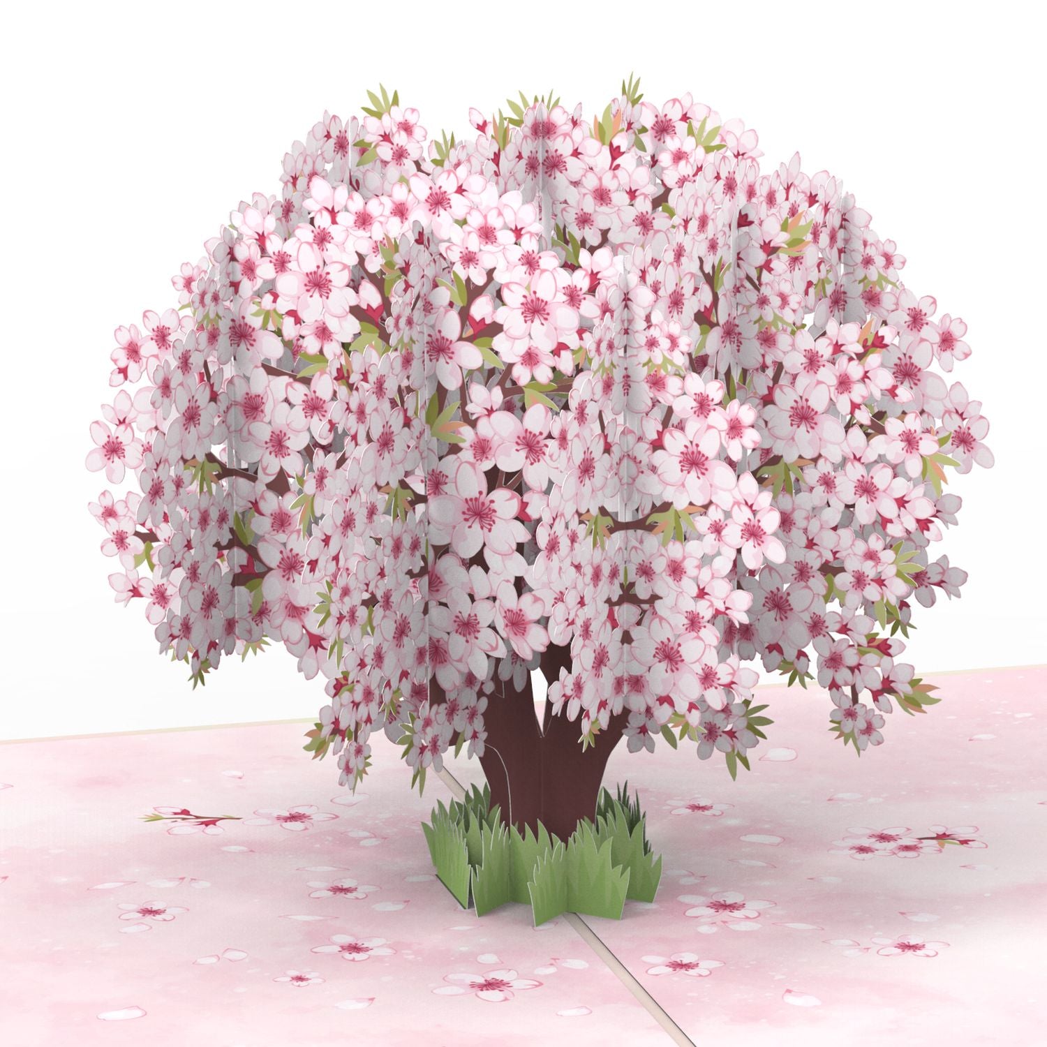 Carte pop-up fleurs de cerisier
