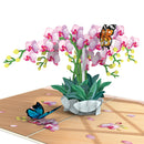 Orchidee mit Schmetterling Pop-Up Karte