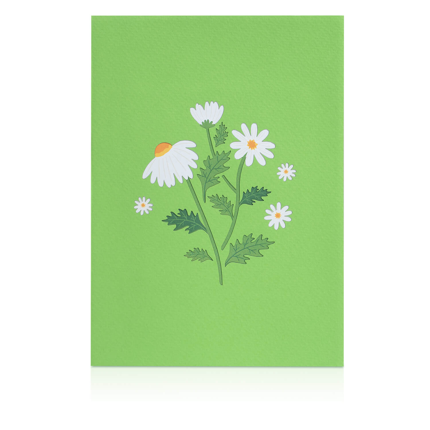 Carte pop-up Marguerite avec papillon