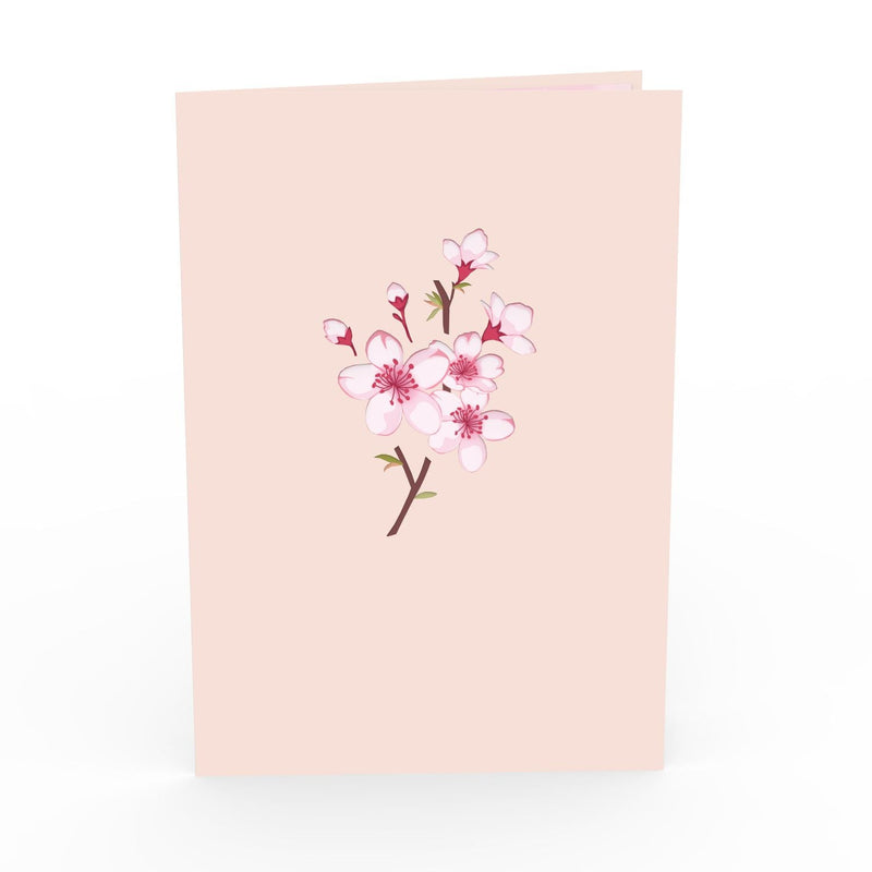 Carte pop-up fleurs de cerisier