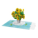 Carte pop-up Tournesol